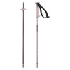 Polar Adult Ski Poles