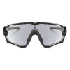 Lunettes de soleil Jawbreaker Adulte