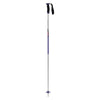 Arc Adult Ski Poles