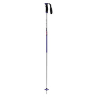 Arc Adult Ski Poles