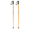 Bâtons de Ski Prodigy Adulte