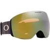 Flight Deck L Adult Ski Goggles