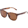 Lunettes de Soleil Momentum Adulte