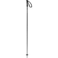 Polar Access Ski Poles