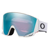 Lunettes de Ski Flow Scape Adulte