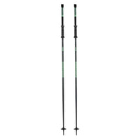 Triad Adult Ski Poles