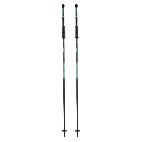Triad Adult Ski Poles