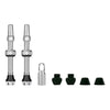 Tubeless V2 Valve