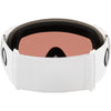 Lunettes de Ski Flight Path L Adulte