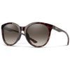 Bayside Adult Sunglasses