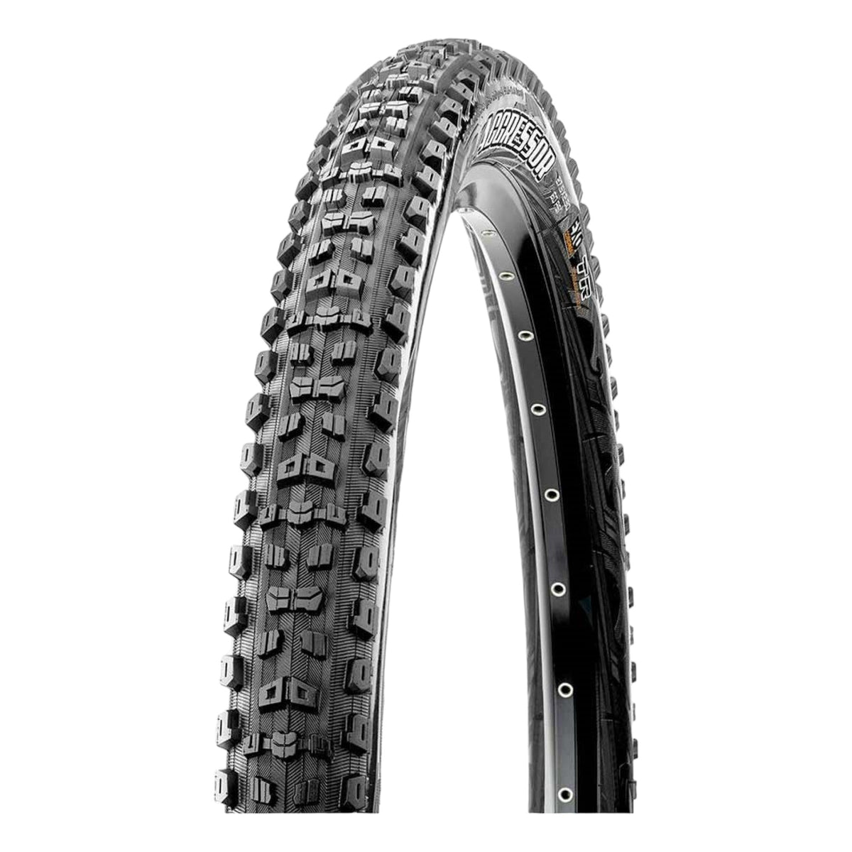 Mountain Tire Agressor