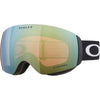 Lunettes de Ski Flight Deck Adulte