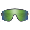 Lunettes de soleil Wildcat Adulte