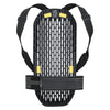 VPD System Adult Protection