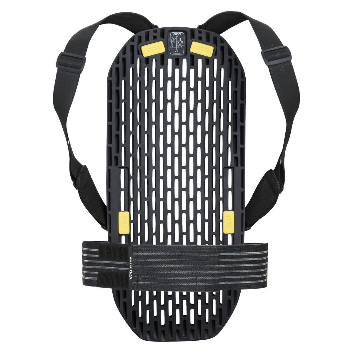 VPD System Adult Protection