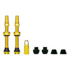 Tubeless V2 Valve