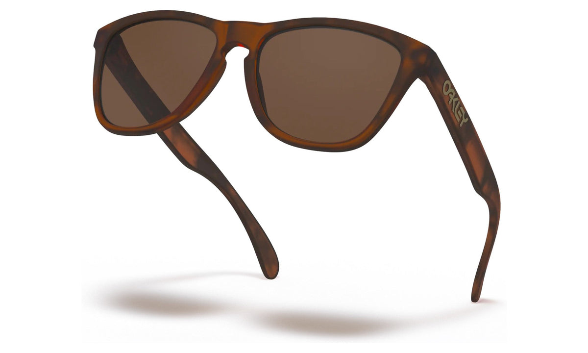 Lunettes de Soleil Frogskins Adulte