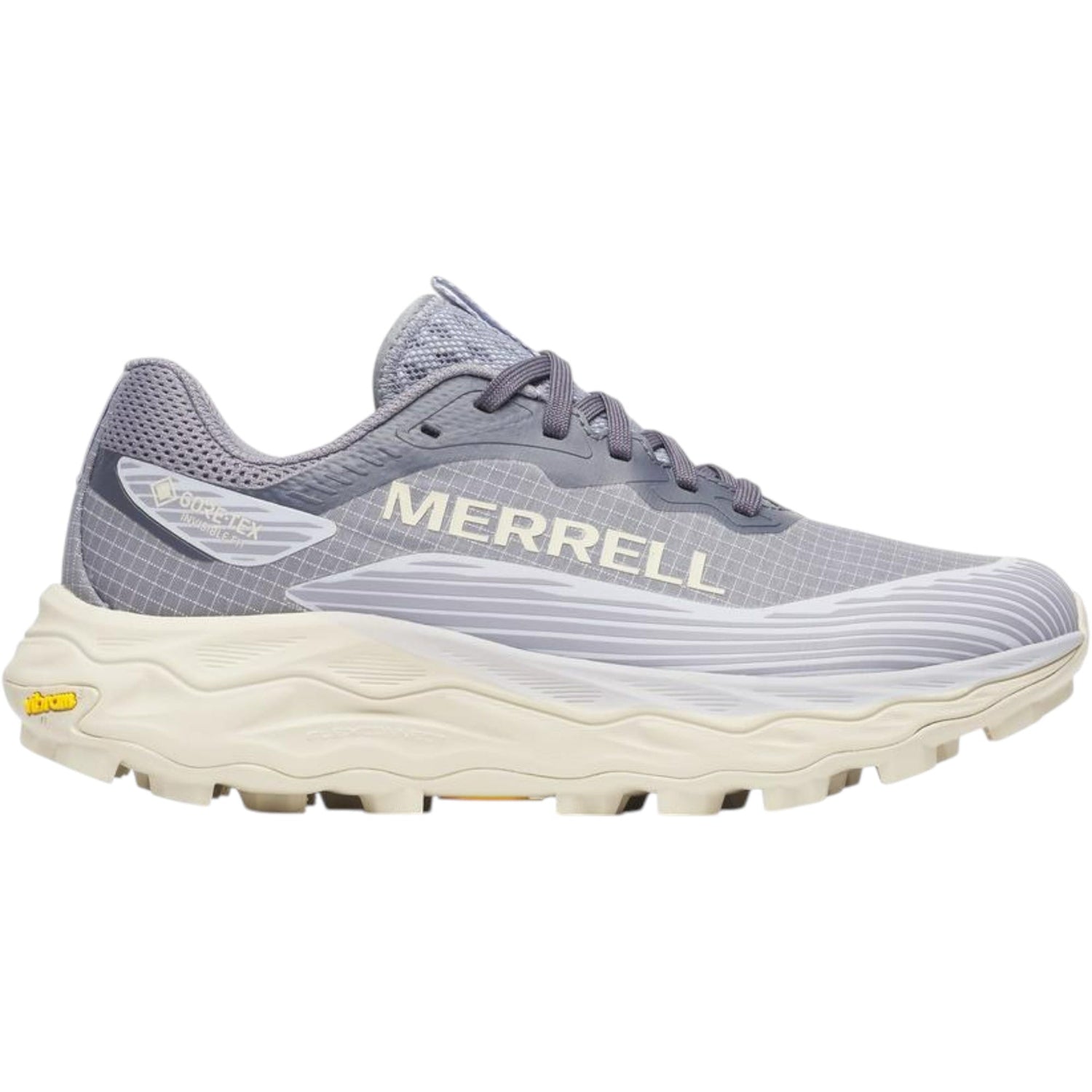 Souliers de Course de Sentier Agility Peak 6 GTX Femme