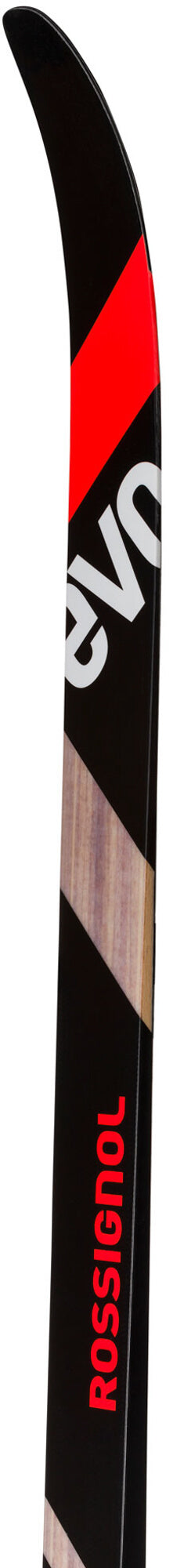 Evo CX 55 R_Skin_IFP/Control Step In Adult Cross-Country Skis