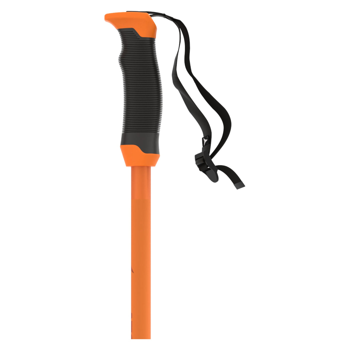 Bâton de Ski Alpin Redster Q SQS Adulte