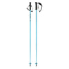 Worldcup SL Adult Ski Poles