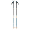 Traverse Compactor Adult Ski Poles