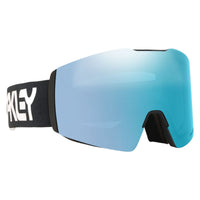 Fall Line L Adult Ski Goggles