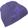 Arc'teryx Blurple/Violectric.023406