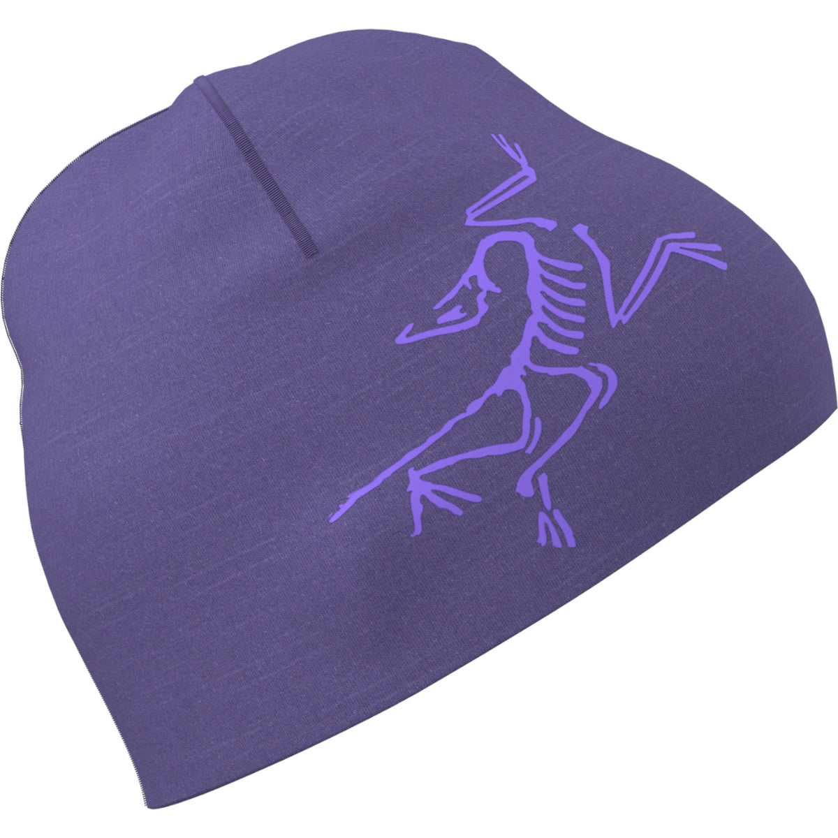 Arc'teryx Blurple/Violectric.023406