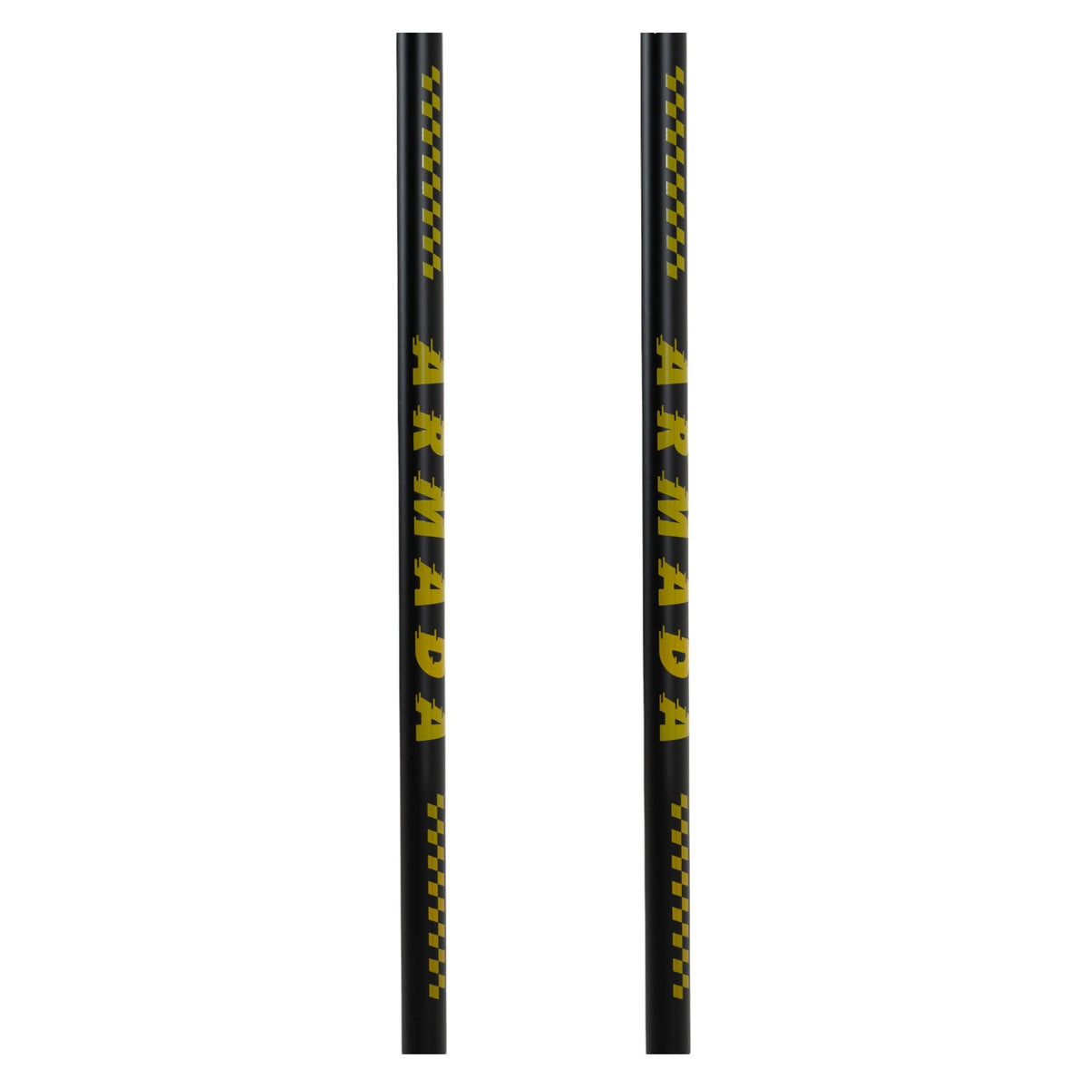 Triad BB Adult Ski Poles