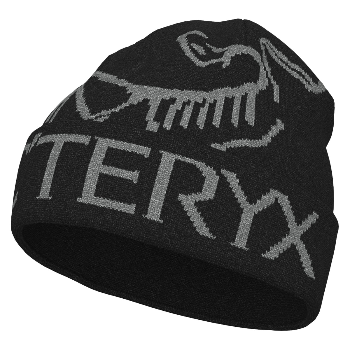 Classic Arc’teryx toque made with warm, comfortable recycled polyester.