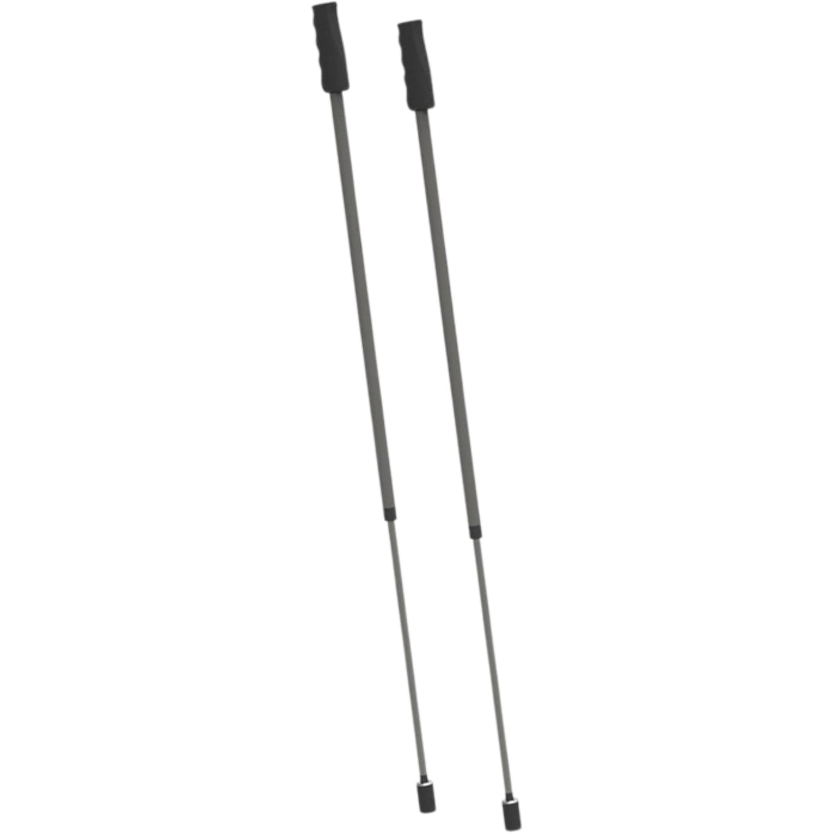 Simulateur Premium Ski