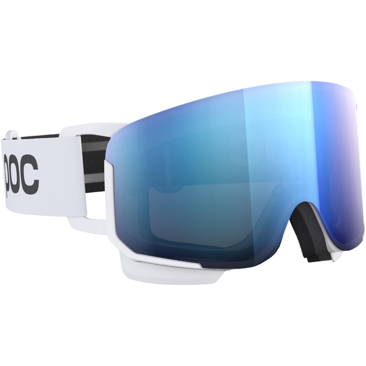 Nexal Adult Ski Goggles