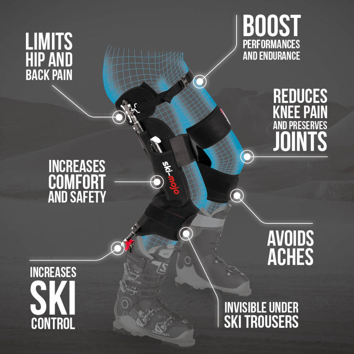 Harnais Ski Mojo pour Adulte