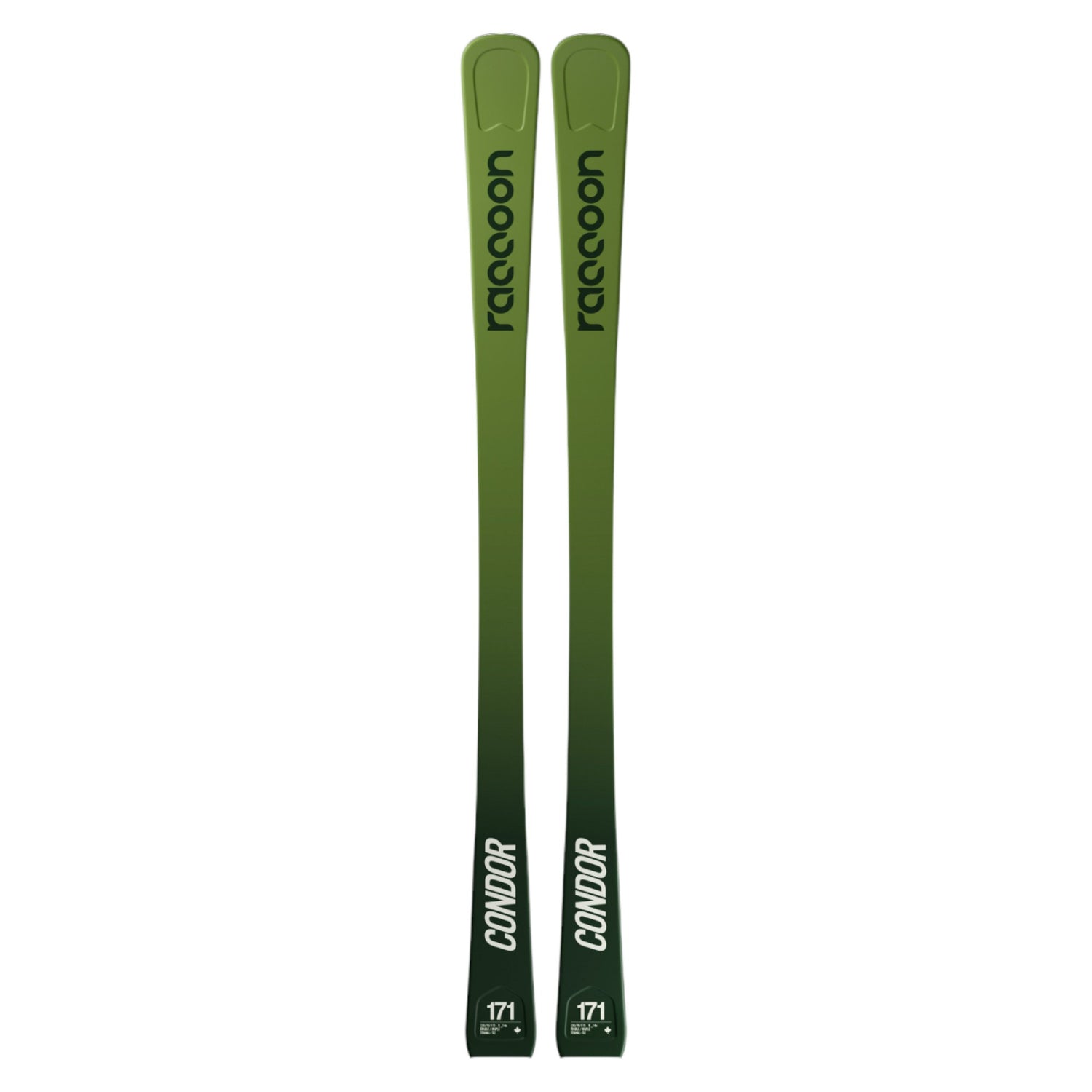 Le Condor TI Adult Alpine Skis