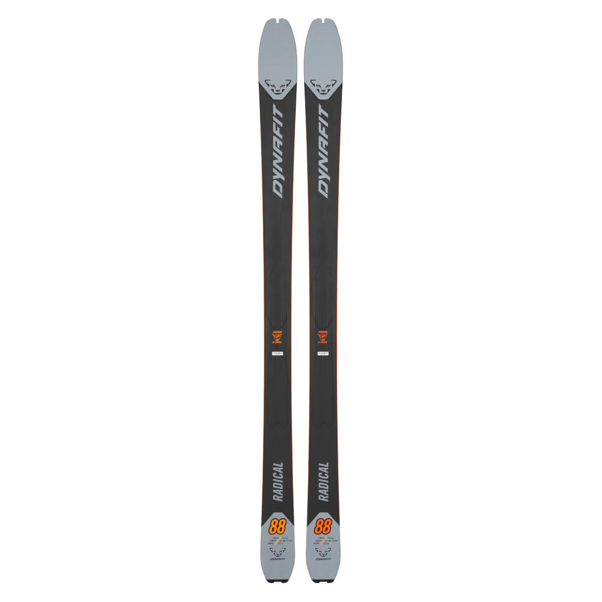 Skis Alpins Radical 88 Adulte