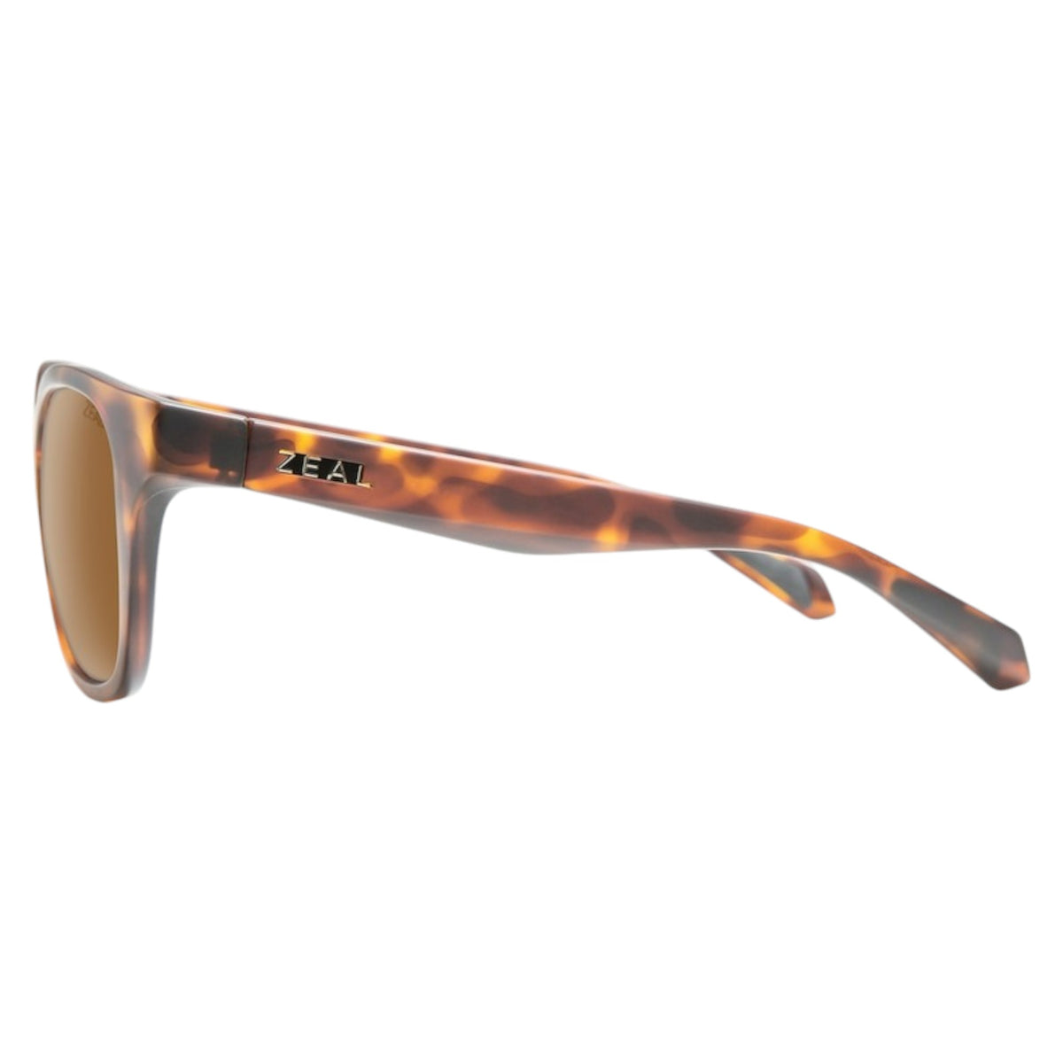 Lunettes de Soleil Windsor Adulte