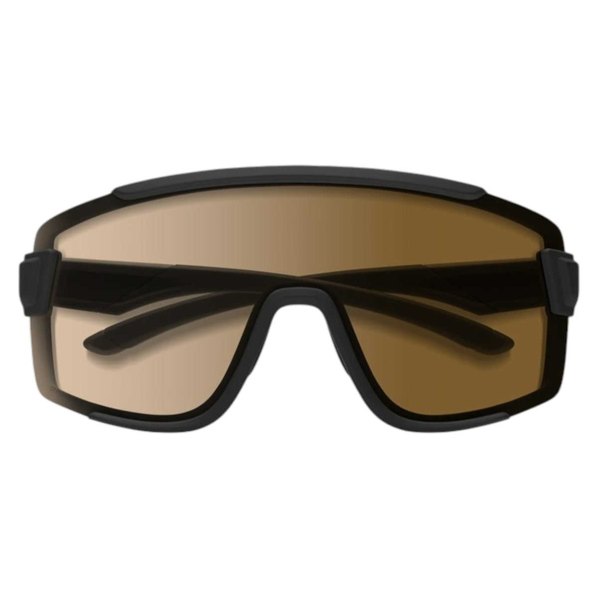 Lunettes de soleil Wildcat Adulte
