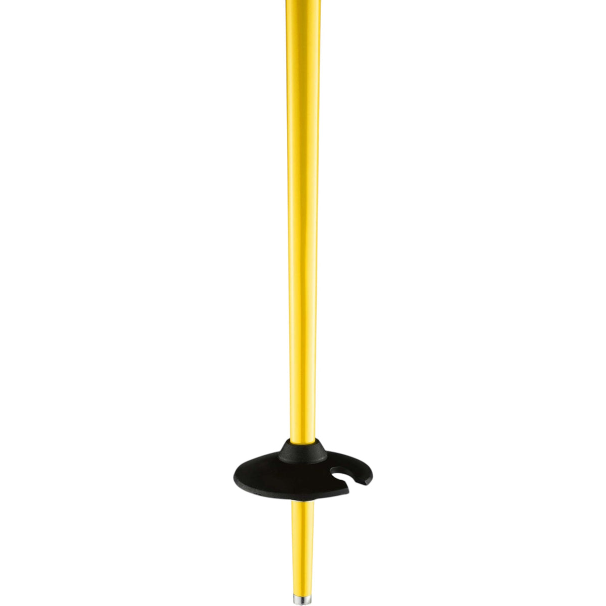 Bâtons de Ski Faction Lite Adulte