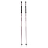 Triad Adult Ski Poles