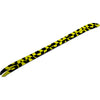 Skis Alpins Vena Cor Adulte