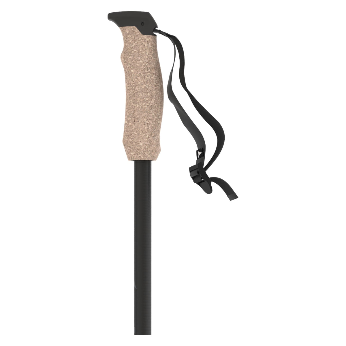 Bâtons de Ski AMT Carbon Adulte