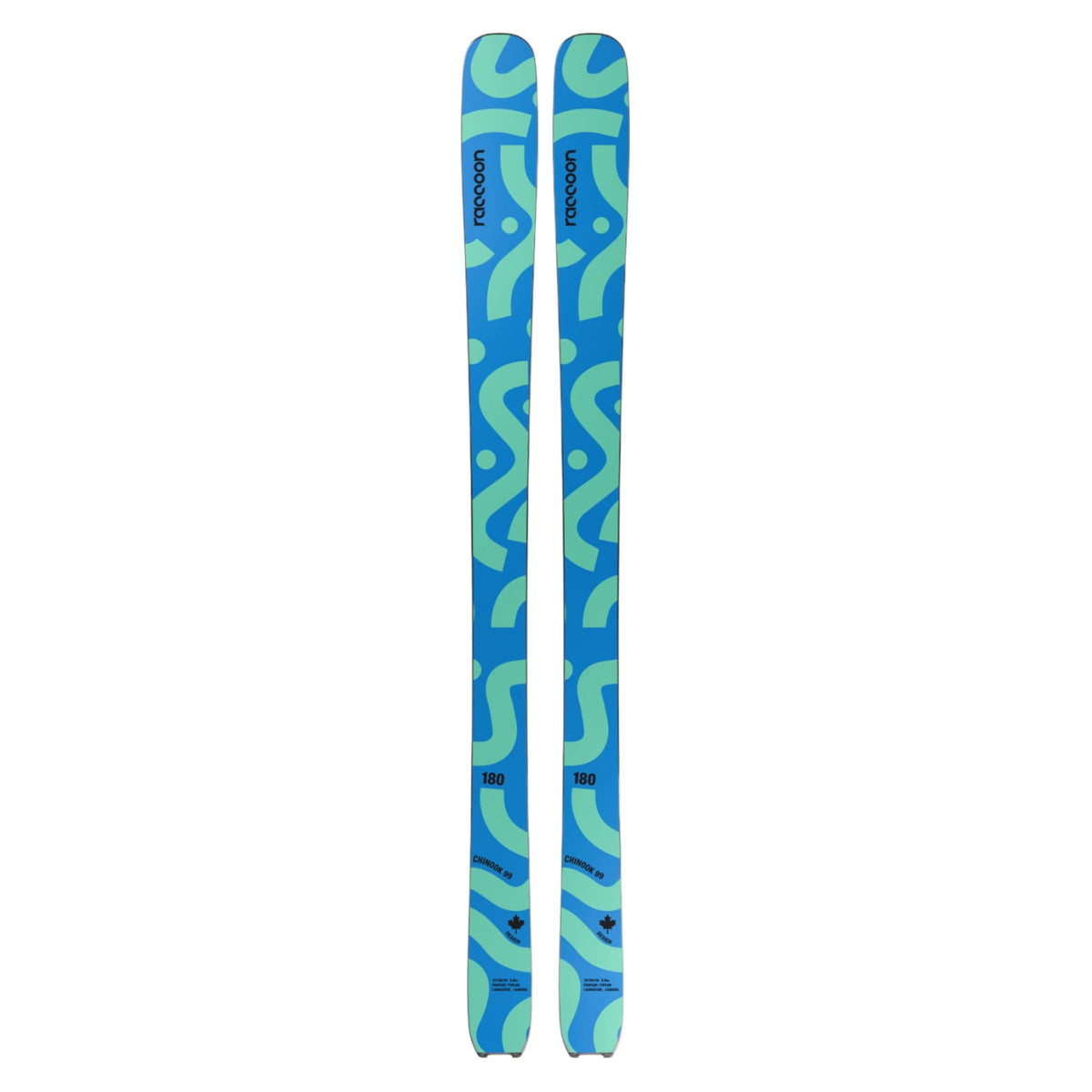 Skis Alpins Chinook Adulte