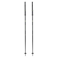 Triad Adult Ski Pole
