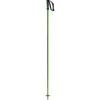 Arctic Adult Ski Poles