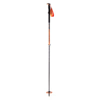 Speed Vario Adult Ski Pole
