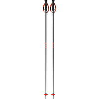 GT 16 Adult Ski Poles
