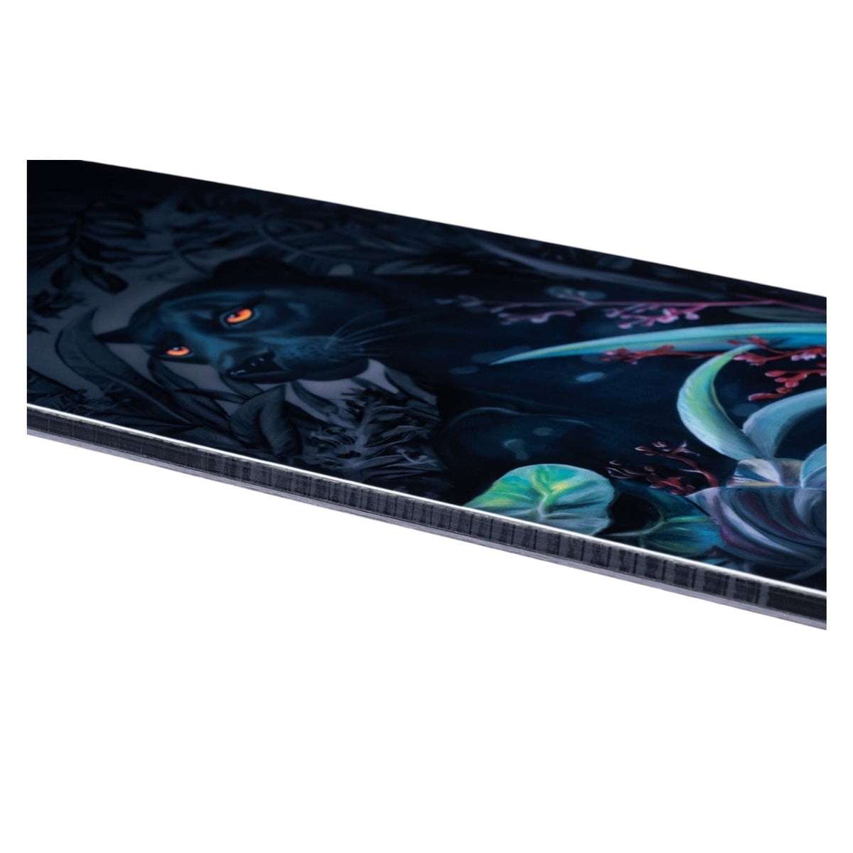 Planche à Neige Dynamiss Femme