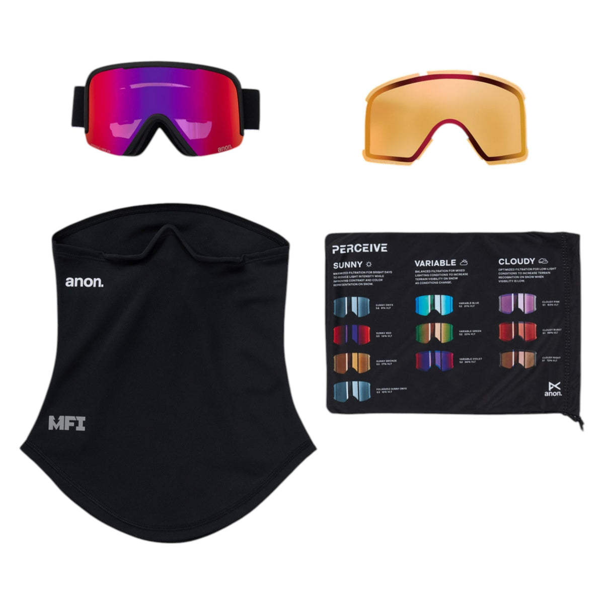 Nesa S Adult Ski Goggles