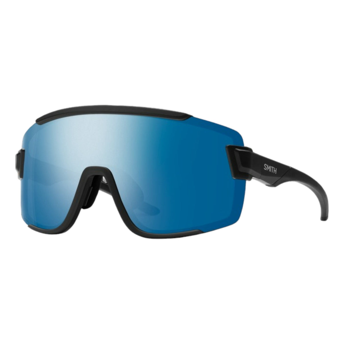 Lunettes de soleil Wildcat Adulte